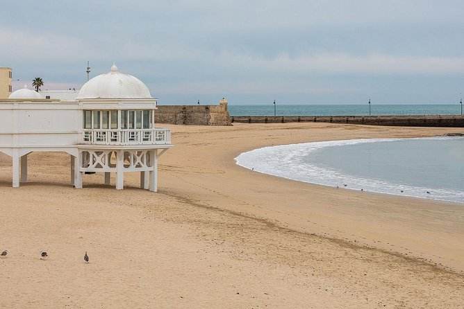 Day Trip From Jerez to Cadiz - Memorable Experiences and Reviews