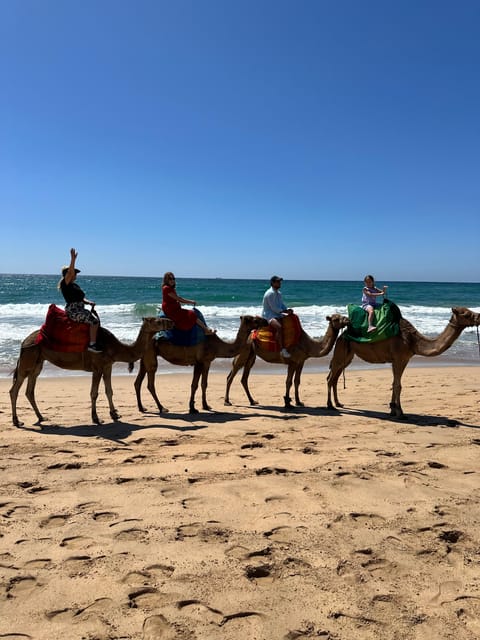 Day Trip From Malaga to Tangier Morocco All Inclusive - Key Points