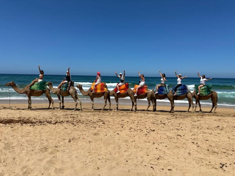 Day Trip From Marbella to Tangier Morocco All Inclusive - Key Points