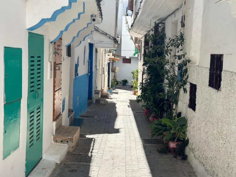 Day Trip From Marbella to Tangier Morocco All Inclusive - Transportation and Accessibility Details