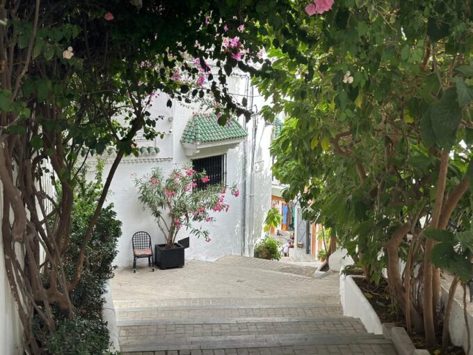 Day Trip From Marbella to Tangier Morocco All Inclusive - Free Cancellation and Refund Policy