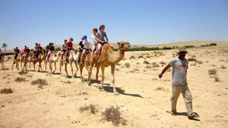 Day Trip From Marrakech Atlas Mountains and Waterfall - Frequently Asked Questions