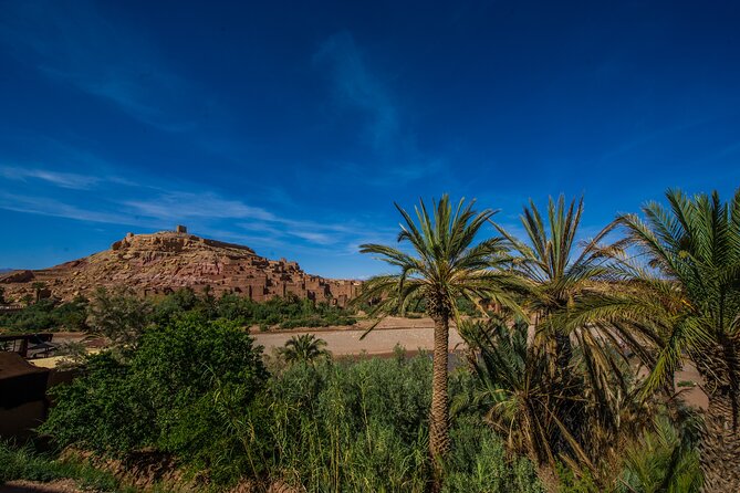 Day Trip From Marrakech to Ait Ben Haddou & Ouarzazate - Reviews and Feedback