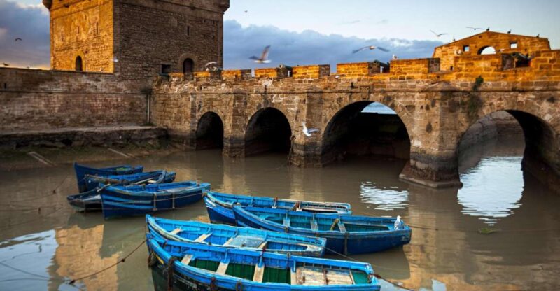 Day Trip From Marrakech To Essaouira - Highlights and Activities