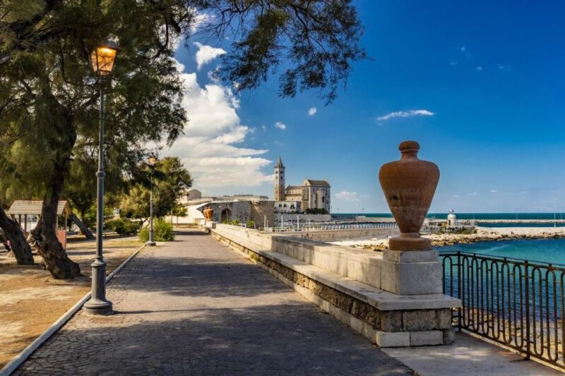 Day Trip From Matera: Bari, Gravina, Castel Del Monte, Trani - Key Points