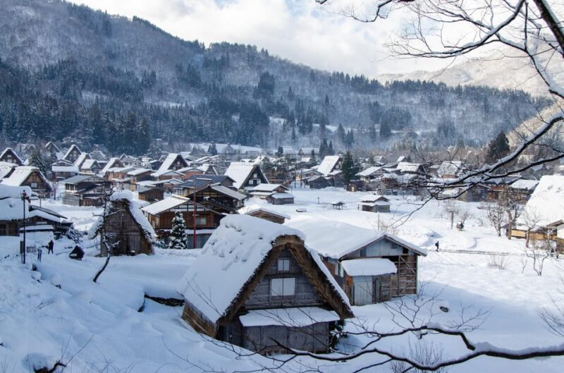 Day Trip From Nagoya (Gujo Hachiman, Takayama & Shirakawa-Go) - Key Points