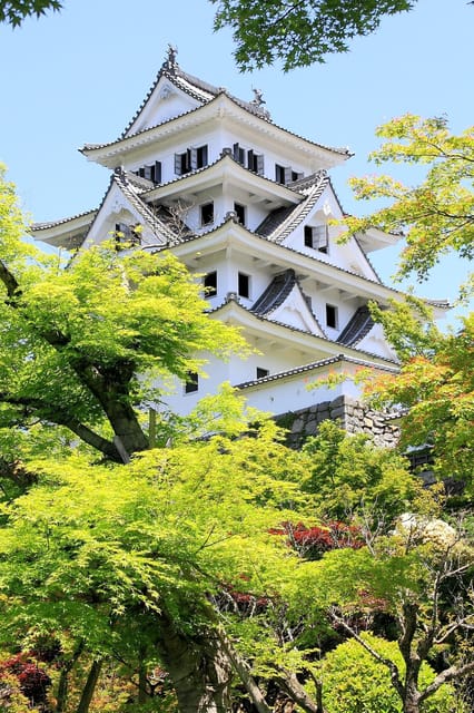 Day Trip From Nagoya (Gujo Hachiman, Takayama & Shirakawa-Go) - Shirakawa-go
