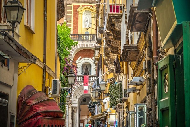 Day Trip From Naples: Pompeii & Sorrento - Private Tour - Professional Guided Tour in Pompeii