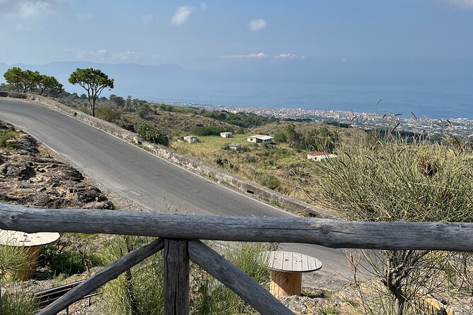 Day Trip From Naples to Mt Vesuvius & Pompeii - Travel Logistics and Accessibility