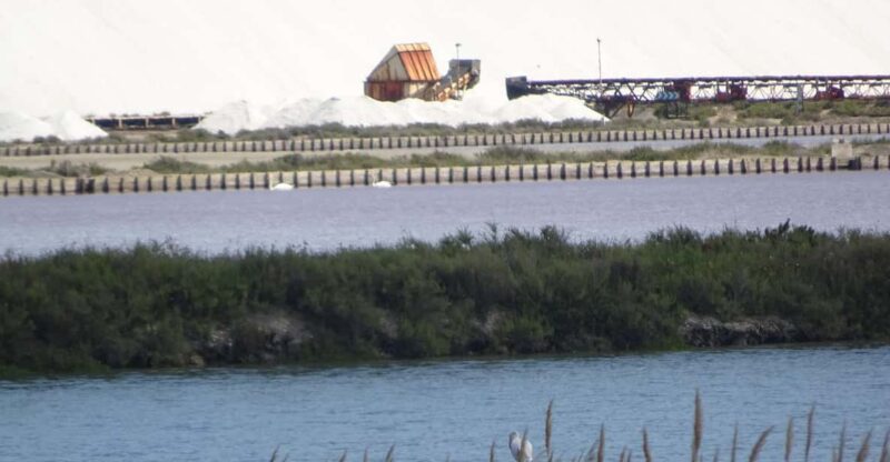 Day Trip From Nîmes to Camargue Nature Park - Flamingo Observation