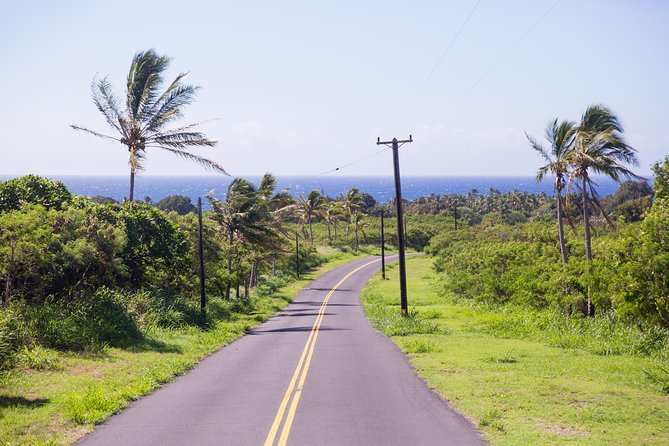 Day Trip From Oahu to Hilo: Active Volcanoes - Hilo City Tour