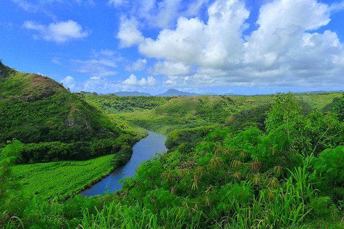 Day Trip From Oahu to Kauai: Waimea Canyon & Wailua River - Visiting Kauai Coffee Company