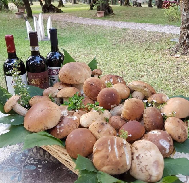 DAY TRIP FROM PISA TO PIETRASANTA WITH WINE TASTING - Key Points