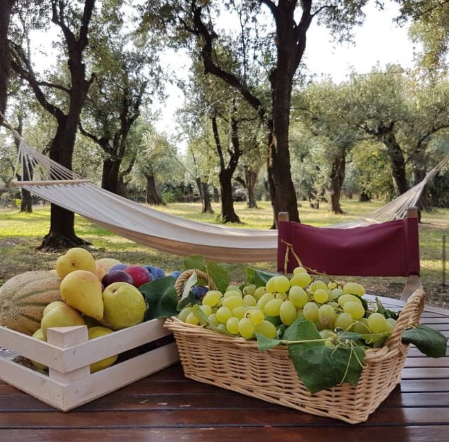 DAY TRIP FROM PISA TO PIETRASANTA WITH WINE TASTING - Itinerary and Duration