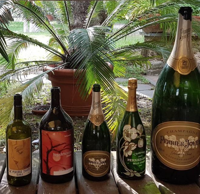 DAY TRIP FROM PISA TO PIETRASANTA WITH WINE TASTING - Explore Ancient Olive Grove
