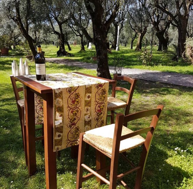 DAY TRIP FROM PISA TO PIETRASANTA WITH WINE TASTING - Tuscan Flavors and Heritage