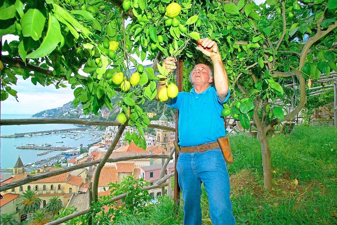 Day Trip From Rome: Amalfi Coast With Boat Hopping & Limoncello - Meeting and Pickup
