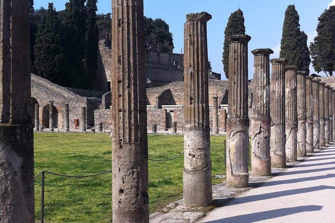Day Trip From Rome to Pompeii and Mt Vesuvios - Pickup and Start Time