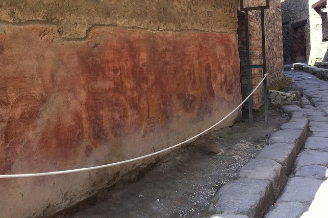 Day Trip From Rome to Pompeii and Mt Vesuvios - Private Transportation Benefits