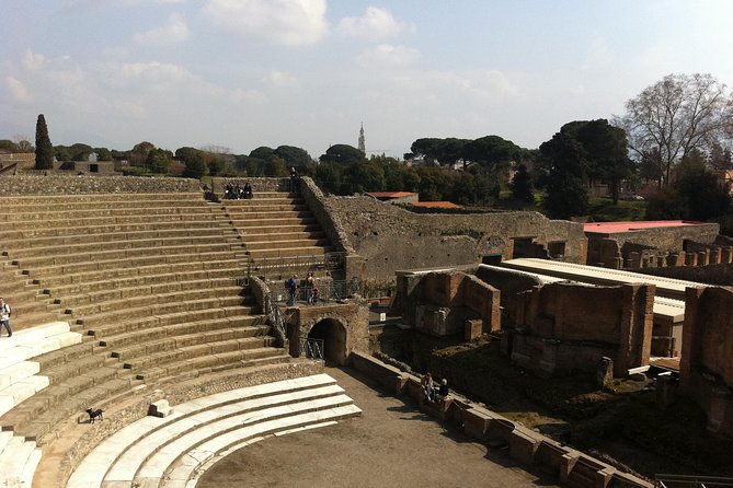 Day Trip From Rome to Pompeii and Mt Vesuvios - Traveler Reviews