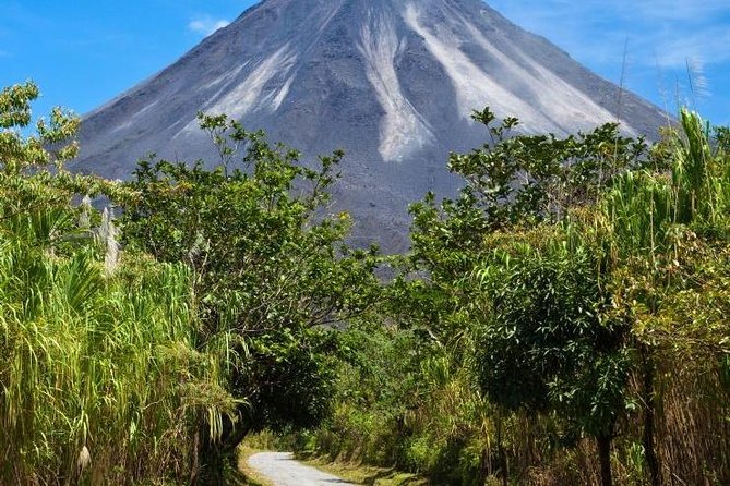 Day Trip From San Jose to Arenal Volcano & Baldi Hot Springs - Dining With Arenal Volcano Views