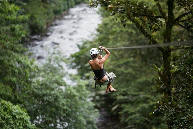 Day Trip From San Jose to Braulio Carrillo Canopy Tour - Zipline Experience Highlights