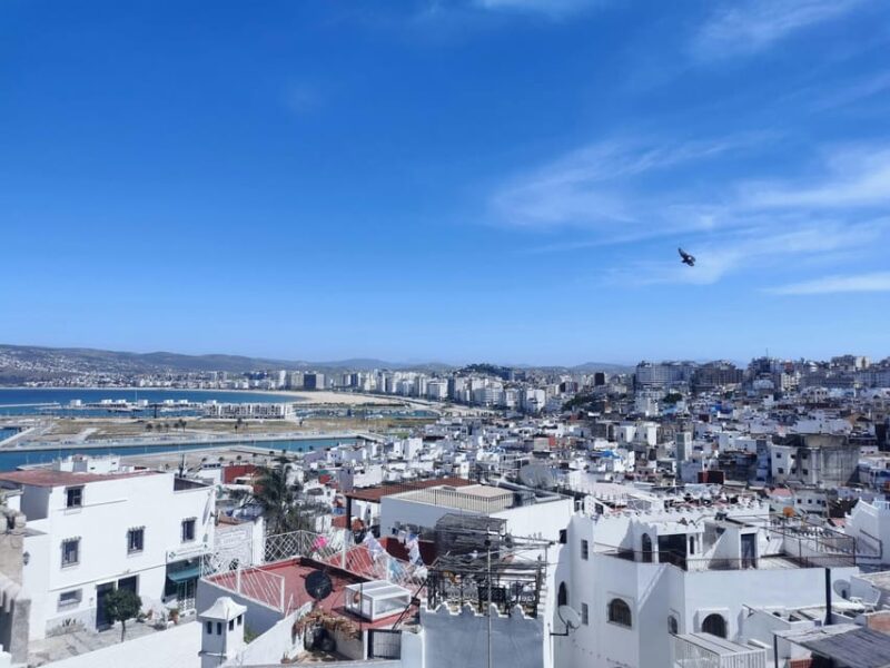 Day Trip From Seville to Tangier All Inclusive - Tour Guide and Accessibility