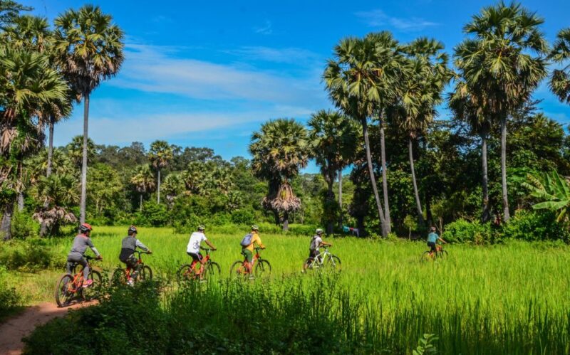 Day Trip From Sihanoukville to Phnom Penh for Cruise Ship - Key Attractions in Phnom Penh