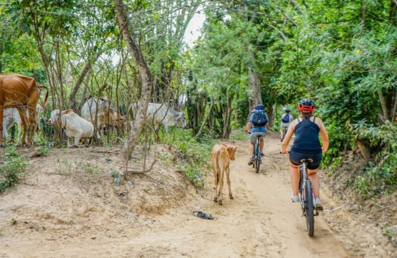 Day Trip From Sihanoukville to Phnom Penh for Cruise Ship - Royal Palace and Silver Pagoda