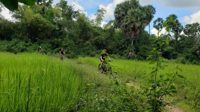Day Trip From Sihanoukville to Phnom Penh for Cruise Ship - Statues and Monasteries