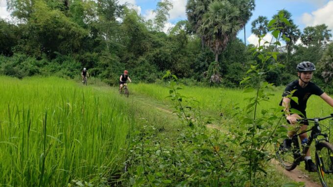 Day Trip From Sihanoukville to Phnom Penh for Cruise Ship - Transportation and Tour Guide