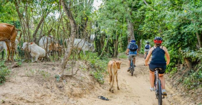 Day Trip From Sihanoukville to Phnom Penh for Cruise Ship - Frequently Asked Questions