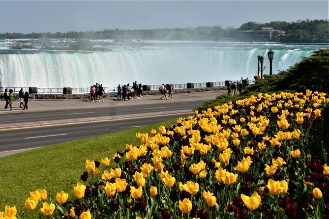 Day-Trip From Toronto to Niagara Falls With Falls Boat Ride - Niagara City Cruises Experience