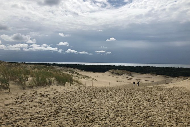 Day Trip From Vilnius to Curonian Spit National Park - Reviews and Feedback