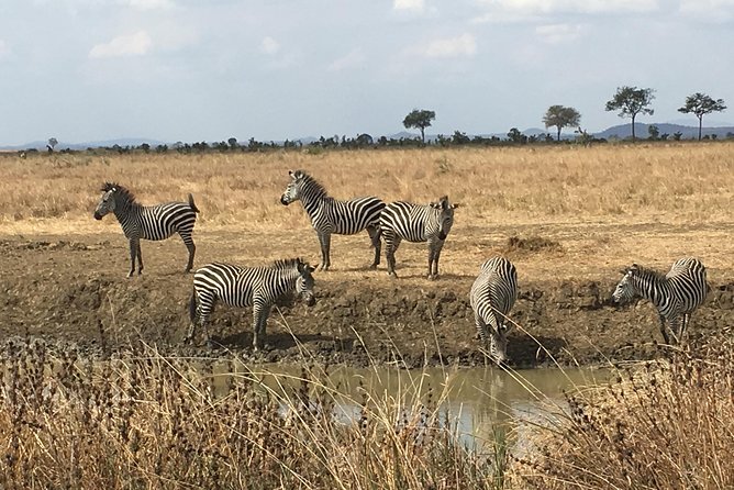Day Trip From Zanzibar To Mikumi - Inclusions and Exclusions