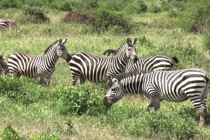 Day Trip -Hells Gate & Lake Naivasha With Boat Ride From Nairobi - Accessibility and Requirements