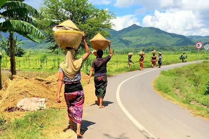 Day Trip in Local Life of Sasak Tribe - Savor Local Cuisine and Flavors