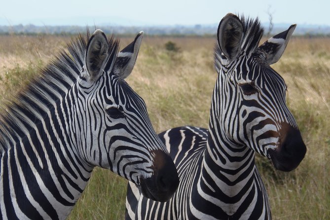 Day Trip in Mikumi National Park - Inclusions and Exclusions of the Tour