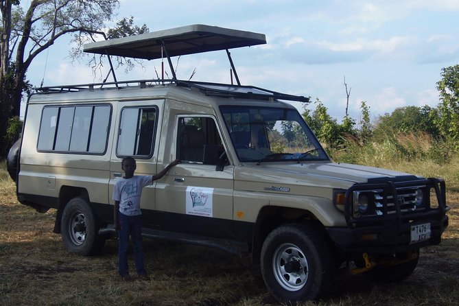 Day Trip in Mikumi National Park - Park Information and Terrain