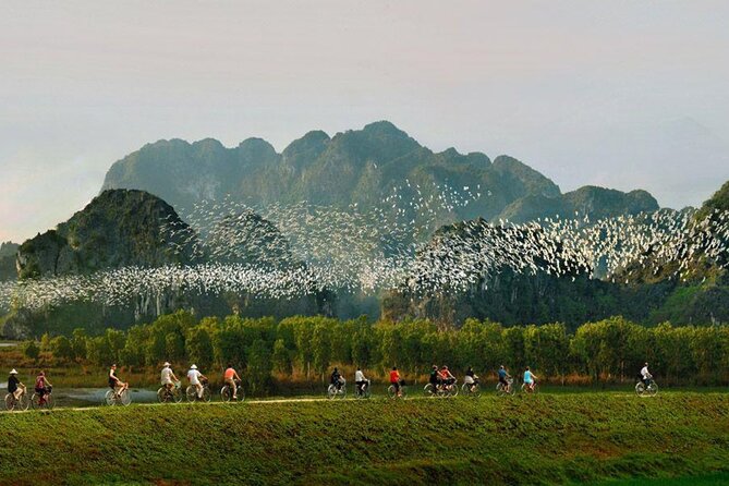 Day Trip in Ninh Binh Tour From Hanoi - Cultural Exploration and Activities