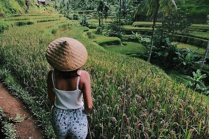 Day Trip in Ubud: Monkey Forest, Rice Terrace, Temple, Waterfall - Pickup and Meeting Details