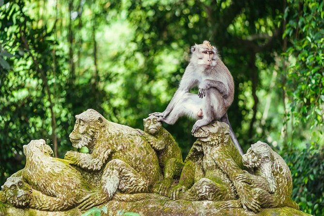 Day Trip in Ubud: Monkey Forest, Rice Terrace, Temple, Waterfall - Customer Feedback