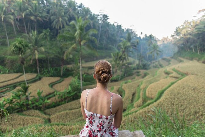 Day Trip in Ubud: Monkey Forest, Rice Terrace, Temple, Waterfall - Itinerary and Timings