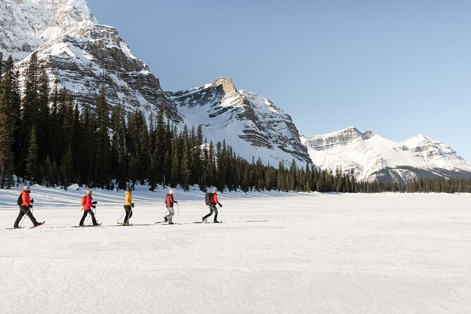 Day Trip: Johnston Canyon, Lake Louise, Banff Town From Calgary - Pickup and Meeting Locations