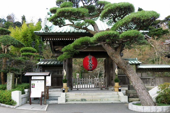 Day Trip Kamakura From Tokyo With National Licensed Guide - Private Tour Experience
