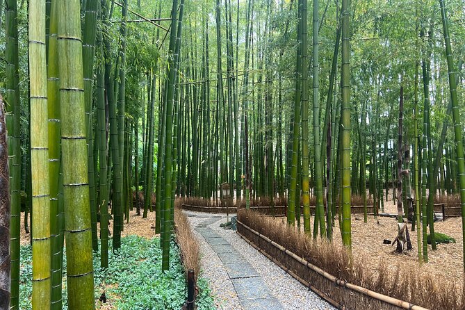 Day Trip Kamakura From Tokyo With National Licensed Guide - Inclusions and Exclusions