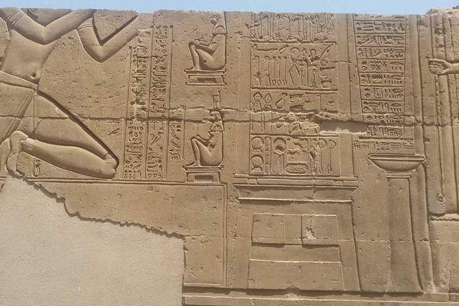Day Trip Kom Ombo and Edfu Temples From Aswan to Luxor - Customer Ratings and Reviews