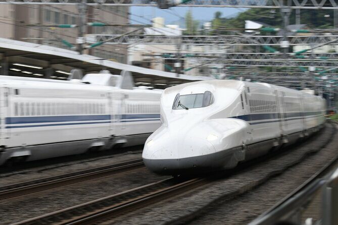 Day Trip Kyoto from Tokyo with a Licensed Guide by Bullet Train - An Impressive Itinerary with Highlights and Practicalities