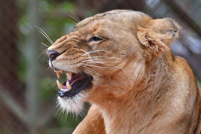 Day Trip - Lake Nakuru National Park Tour From Nairobi - Booking and Confirmation