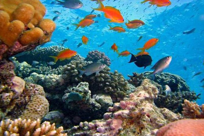 Day Trip: Lempuyang Temple &Tirta Gangga With Snorkeling at Blue Lagoon Beach - Inclusions